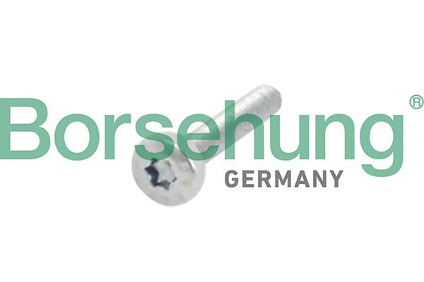 Borsehung Schroef, tandwiel, nokkenas Artikel nummer: B10634 voordelig