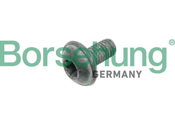 Borsehung B10635 Skrūve, Bremžu disks Q7 55 TFSI Mild Hybrid quattro 340 HP Benzīns/Elektro