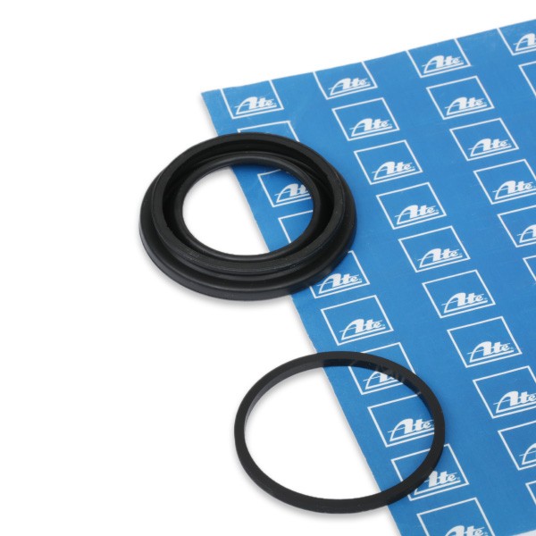 ATE Σετ στεγανοπ., δαγκάνα φρένων αριθμός Άρθρου: 11.0441-5202.2 φθηνότερα