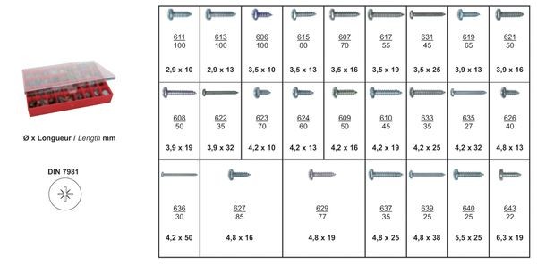 RESTAGRAF 22 Schrauben-Set