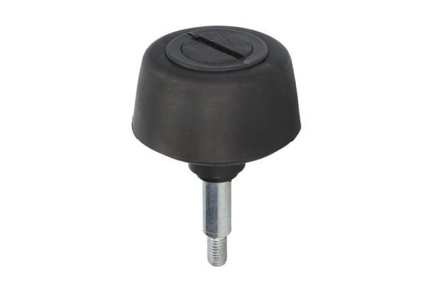 BLIC 6010-01-047433T Fermaporta SPRINTER 318 CDI 3.0 4x4 (906.631, 906.633, 906.635) 184 CV Diesel 2020