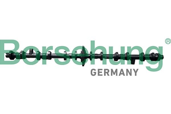 Borsehung B11325 Nockenwellenversteller