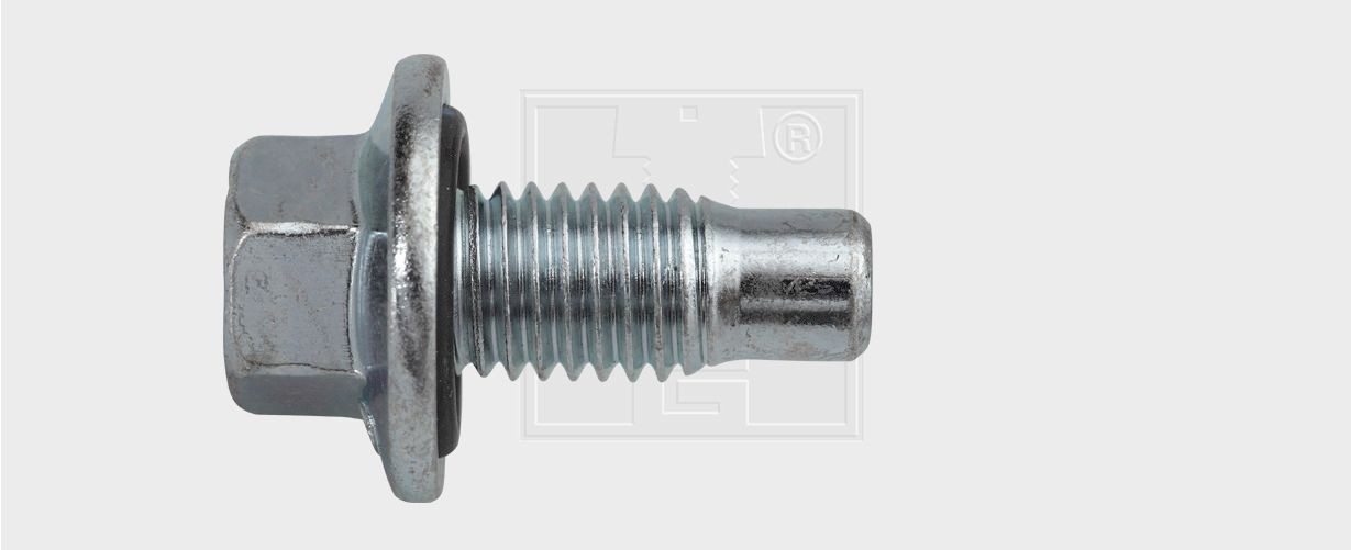 SWGAutomotive Sealing Plug, oil sump Article number: 2401217580 cheaply