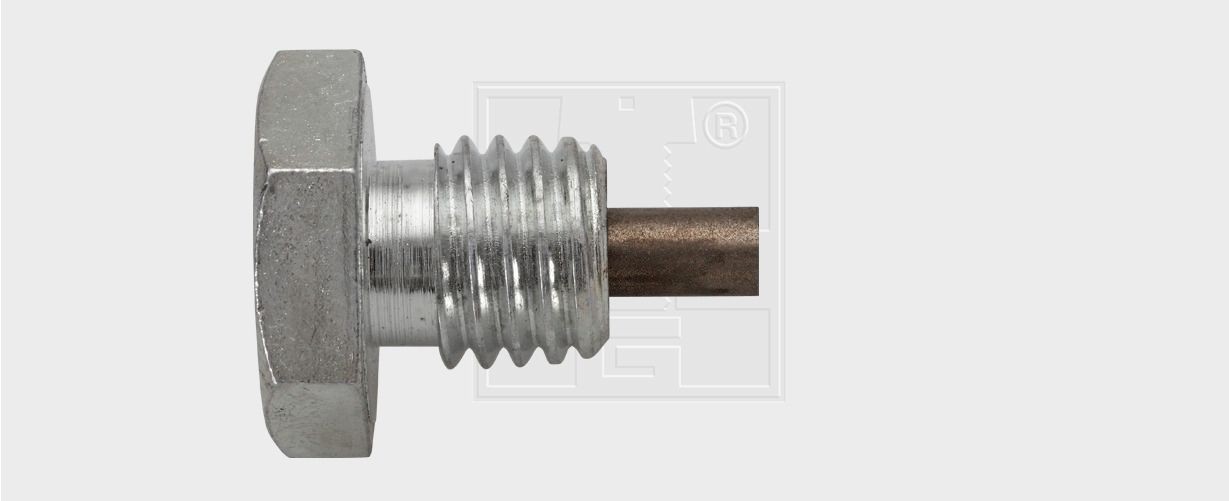 SWGAutomotive Vite di chiusura, vaschetta dell'olio Numero articolo: 24311400116 poco costoso