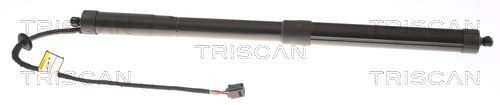 TRISCAN Tailgate strut Article number: 8710 27310 cheaply