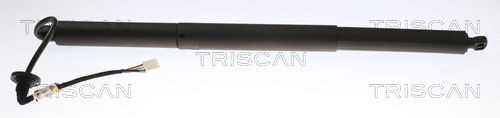 TRISCAN Tailgate strut Article number: 8710 81205 cheaply