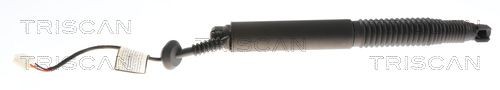 TRISCAN Tailgate strut Article number: 8710 81212 cheaply