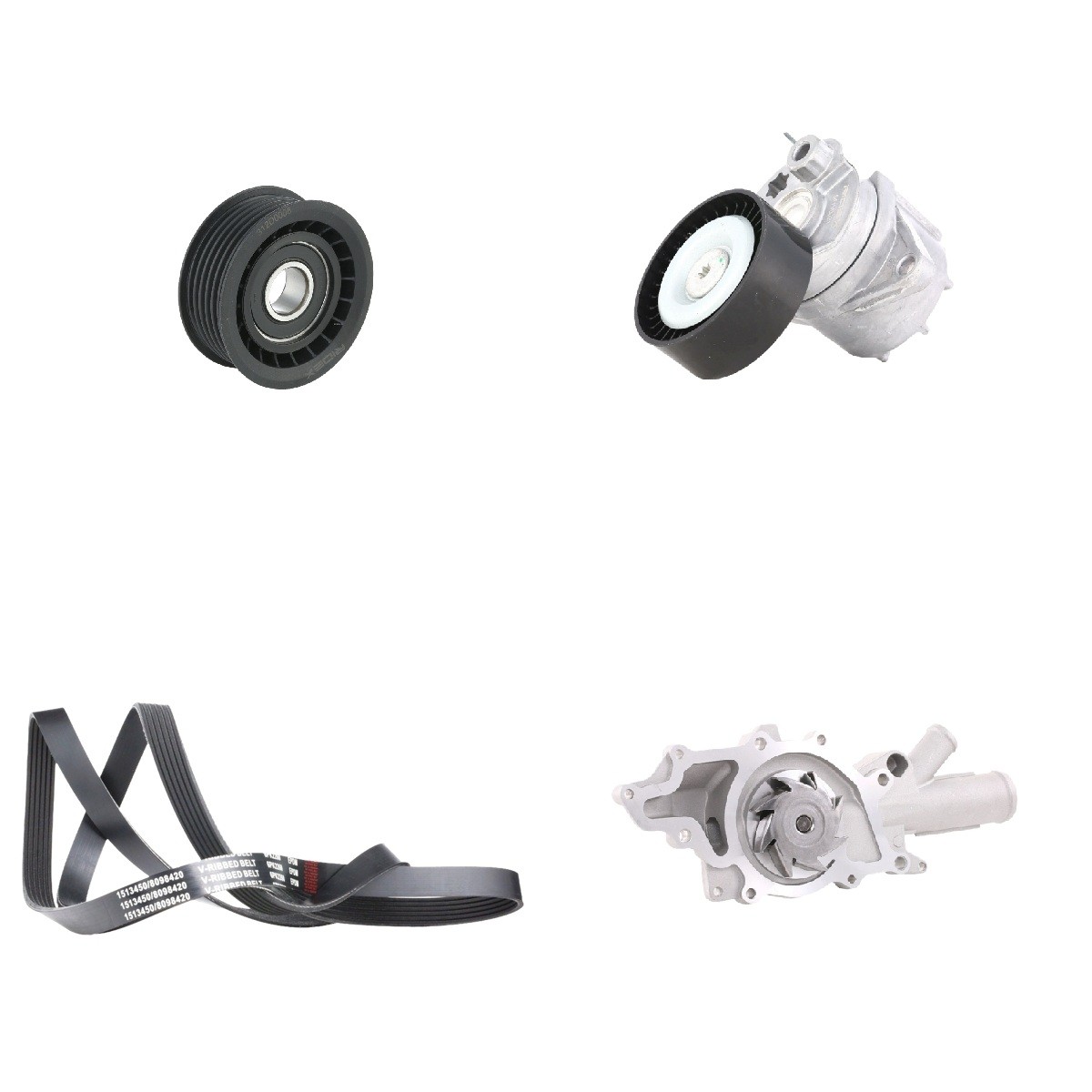 RIDEX 4172P0154 Wasserpumpe + Keilrippenriemensatz