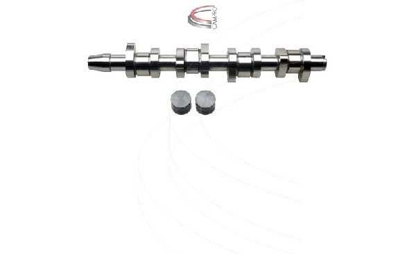 CAMPRO Camshaft Kit Article number: CP60255 cheaply