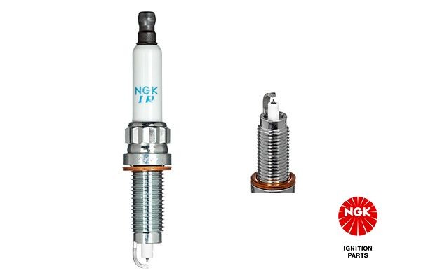 NGK Spark plug Article number: 1555 cheaply