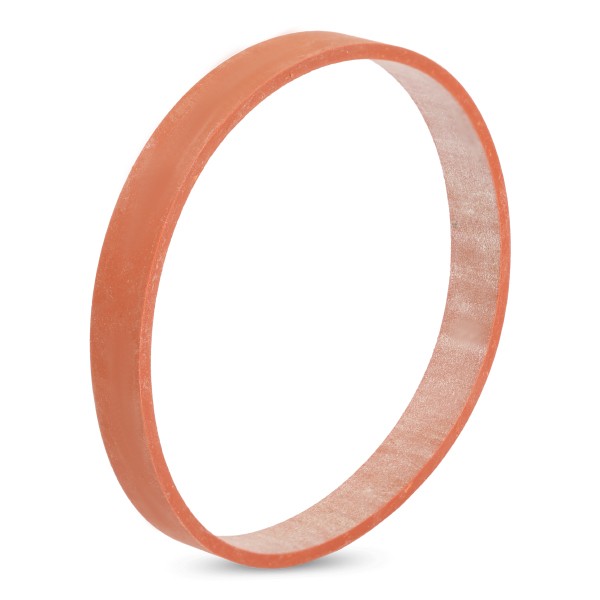 ELRING Tarpiklis, EGR vožtuvas prekės numeris: 424.850 nebrangu