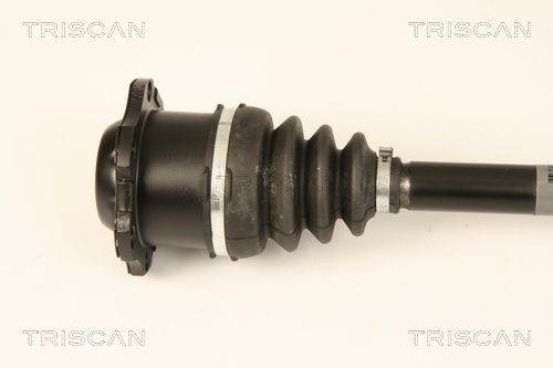 TRISCAN Bouchon de vidange UGS: 95-0981 à peu de frais