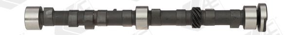 AE Camshaft Article number: CAM382 cheaply