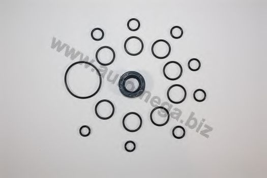 AUTOMEGA Dichtungssatz, Hydraulikpumpe Artikelnummer: 301980049026B kaufen