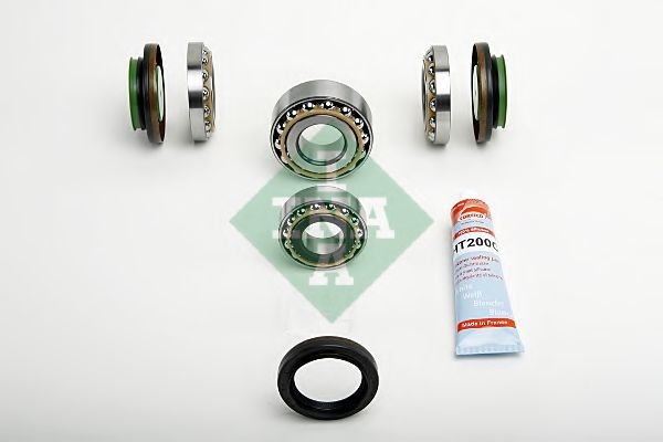 INA 462 0147 10 Kit riparazione, Differenziale Serie 3 316i 1.6 122 CV Benzina 2011