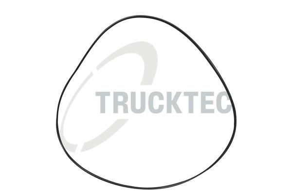 TRUCKTEC AUTOMOTIVE Bague d'étanchéité, conduite de réfrigérant numéro de l'article: 08.17.019 à bon prix