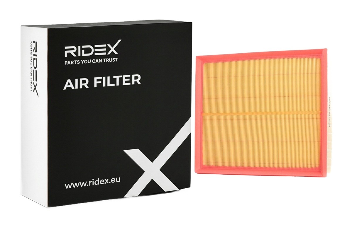 RIDEX Oro filtras prekės numeris: 8A0005 nebrangu