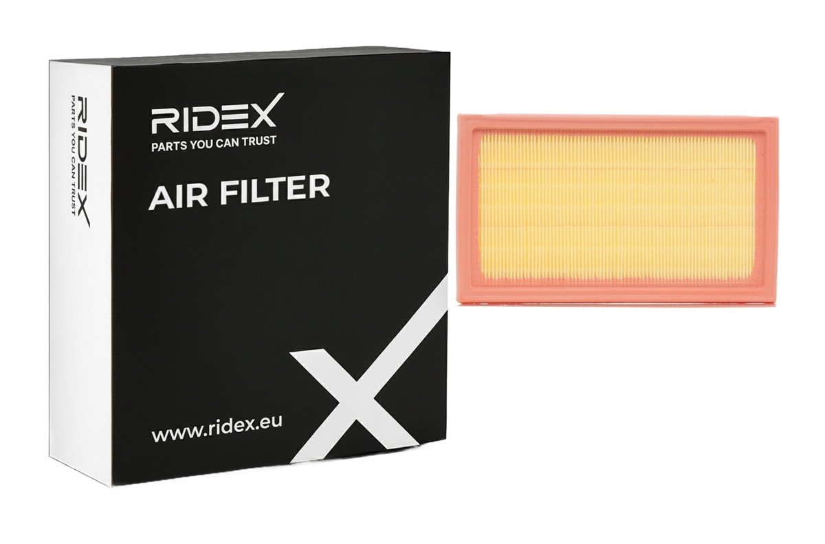 RIDEX Oro filtras prekės numeris: 8A0120 nebrangu