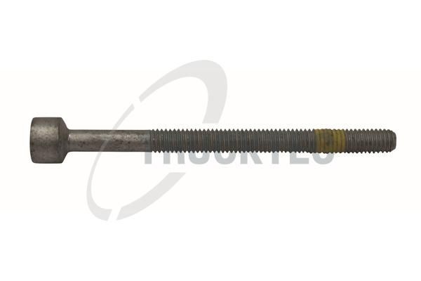 TRUCKTEC AUTOMOTIVE Skrutka, drżiak vstrekovacej trysky číslo článku: 02.13.101 lacno