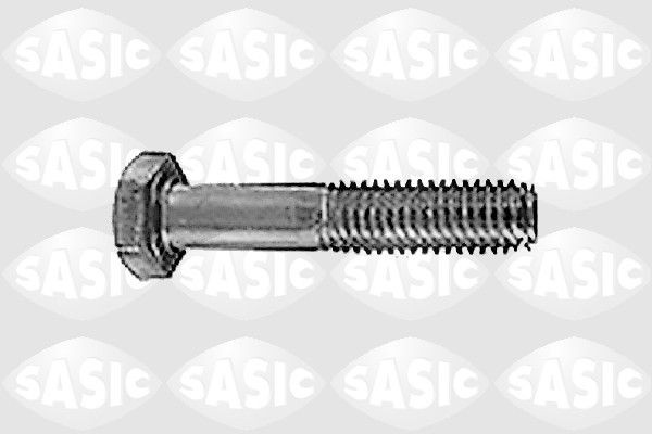 SASIC Surub, capat de ax număr articol: 5223303 ieftin