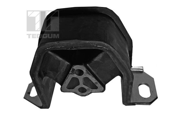 TEDGUM Montavimas, neautomatinės transmisijos atrama prekės numeris: 00500604 nebrangu