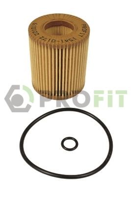 PROFIT Alyvos filtras prekės numeris: 1541-0172 nebrangu