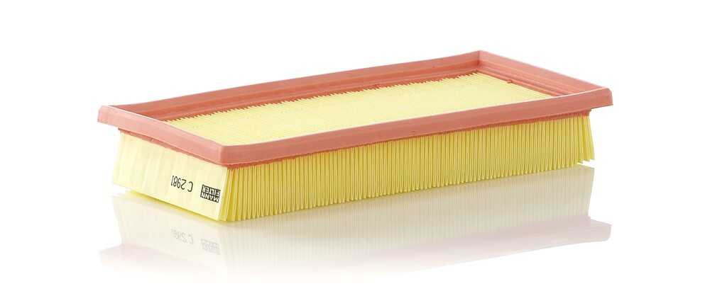 MANN-FILTER Luftfilter Varenummer: C 2981 billige