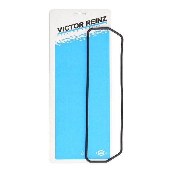 REINZ Garnitura, capac supape număr articol: 71-36056-00 ieftin