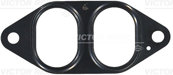 REINZ Τσιμούχα, πολλαπλή εξαγωγή αριθμός Άρθρου: 71-36086-00 φθηνότερα