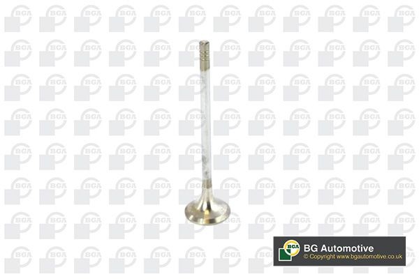 BGA Exhaust valve Article number: V236820 cheaply