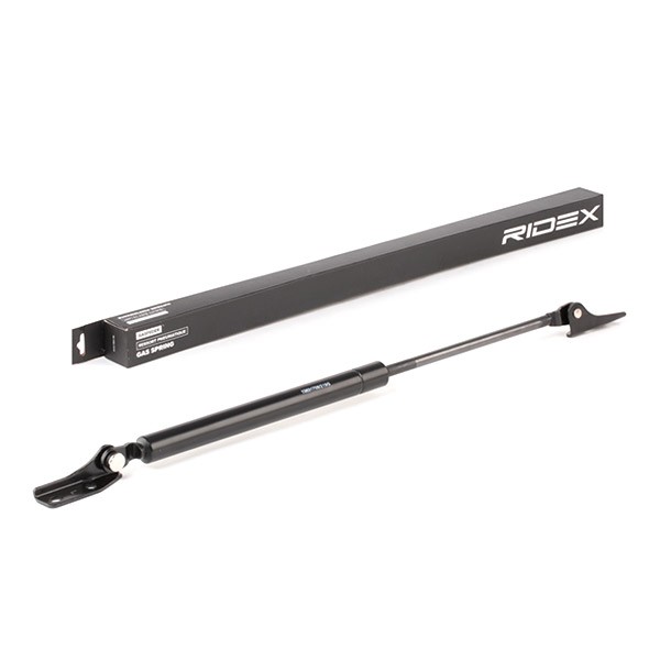 RIDEX Tailgate strut Article number: 219G0573 cheaply