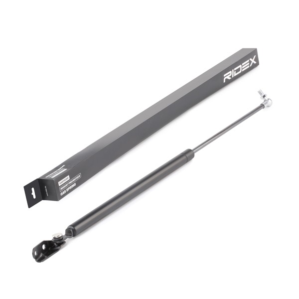 RIDEX Heckklappendämpfer Artikelnummer: 219G0933 bestellen