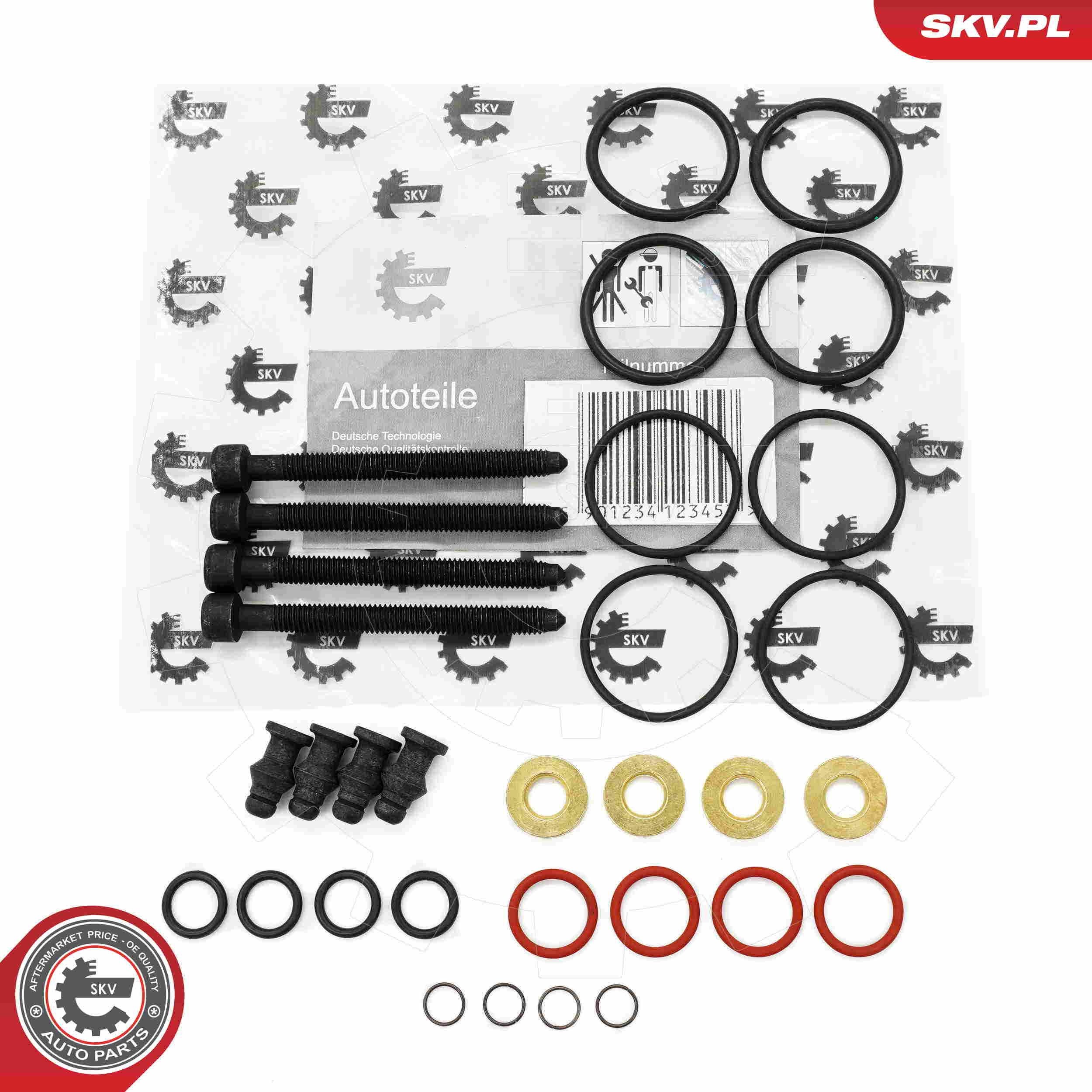 ESEN SKV 53SKV187 Kit de réparation, unité pompe-injecteur A4 1.9 TDI 130 CH Diesel 2004