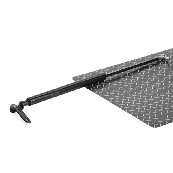 RIDEX Kaasujousi, tavaratila tuotenumero: 219G0443 edullisesti