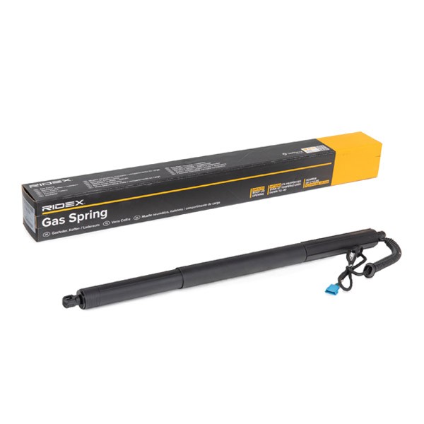 RIDEX Kaasujousi, tavaratila tuotenumero: 219G1033 edullisesti