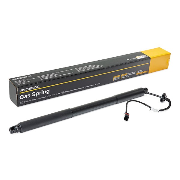 RIDEX Kaasujousi, tavaratila tuotenumero: 219G1034 edullisesti