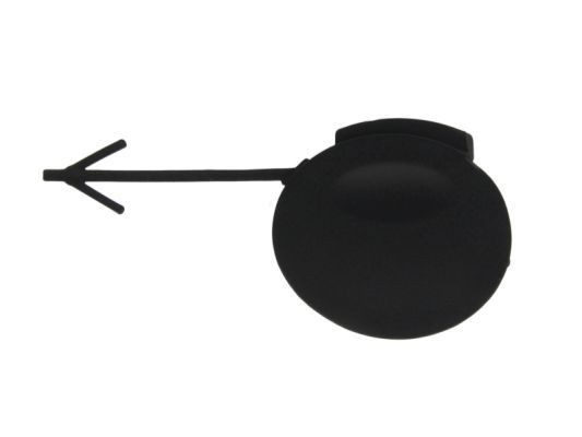 BLIC Капак, кука на теглича артикулен номер: 5513-00-5024920P евтино