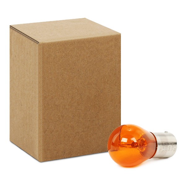 BOSCH Ampoule de clignotant UGS: 1 987 302 213 à peu de frais