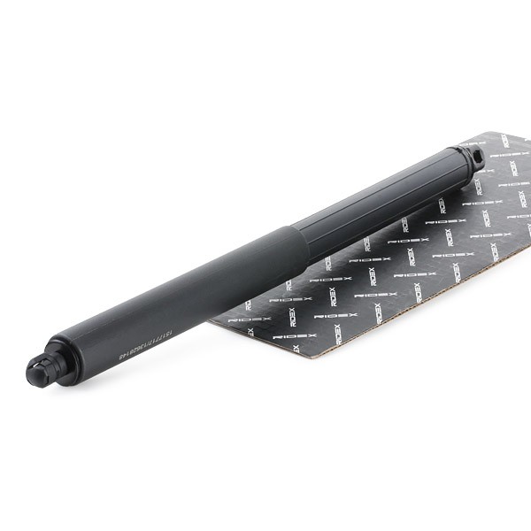 RIDEX Tailgate strut Article number: 219G0444 cheaply