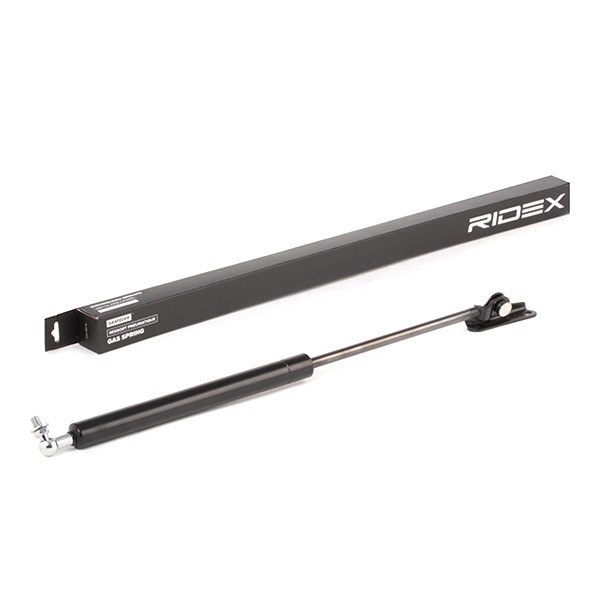 RIDEX Dujinė spyruoklė, bagažinė prekės numeris: 219G0570 nebrangu