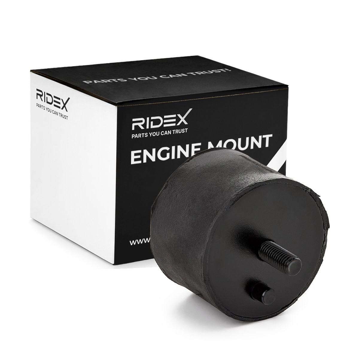 RIDEX 247E0141 Motorlager