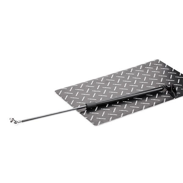 RIDEX Dujinė spyruoklė, bagažinė prekės numeris: 219G0513 nebrangu