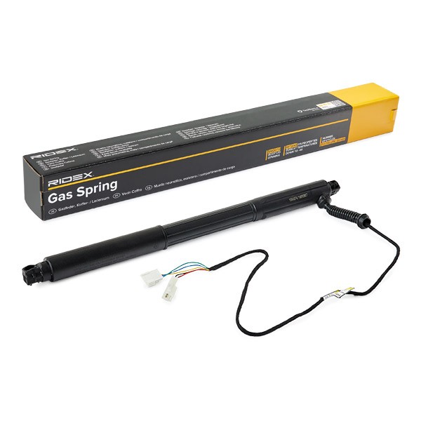 RIDEX Tailgate strut Article number: 219G1031 cheaply