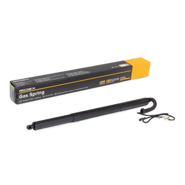 RIDEX Dujinė spyruoklė, bagažinė prekės numeris: 219G1032 nebrangu