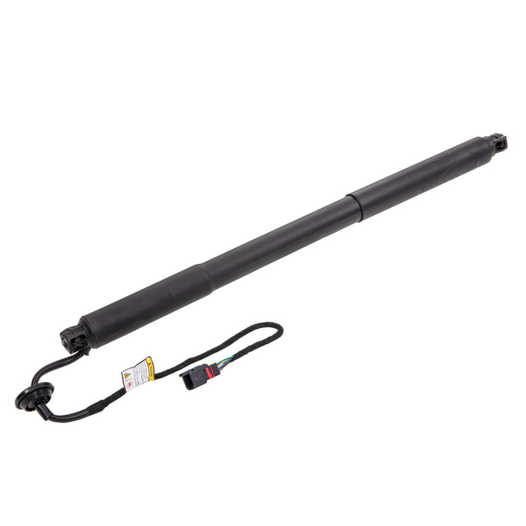 RIDEX Tailgate strut Article number: 219G1035 cheaply