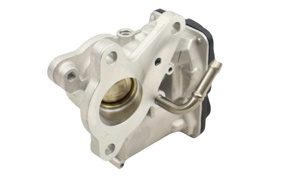 FAST FT60249 AGR-Ventil