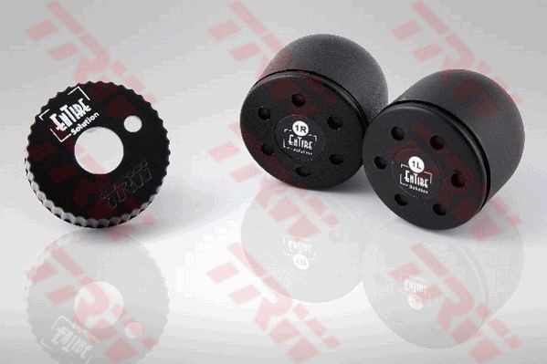 TRW ESE900 Reifendruck-Kontrollsystem (RDKS)