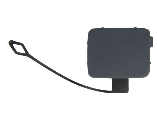 BLIC Капак, кука на теглича артикулен номер: 5513-00-0062920P евтино