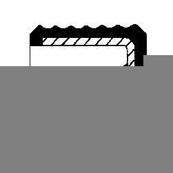 CORTECO Pierscień uszczelniający wału, wałek rozrządu Numer artykułu: 20034326B niedrogo