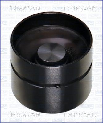 TRISCAN 80-17000 Hydrostößel